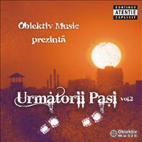 urmatorii pasi 2