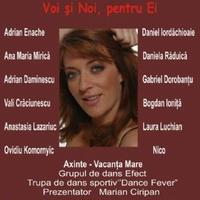 Noi si Voi festival