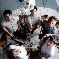 foals