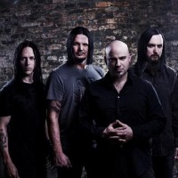 disturbed