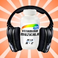 logo vitamina 13