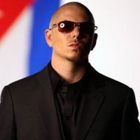 pitbull