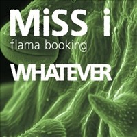 Miss i & Whatever @ Mash-Up Club