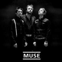 muse