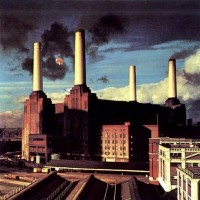 pink floyd animals