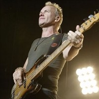 sting