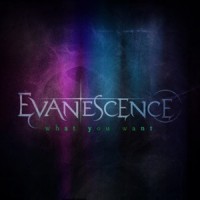 evanescence what you want